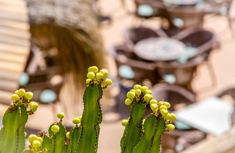 Terraza Cocktail Bar Vista difuminada de las silas y las mesas de la gran terraza del Cocktail Bar